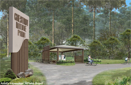 NParks to improve access to Central Catchment Nature Reserve