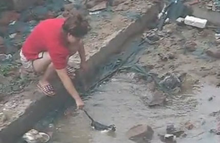 Chinese couple tosses kitten into puddle
