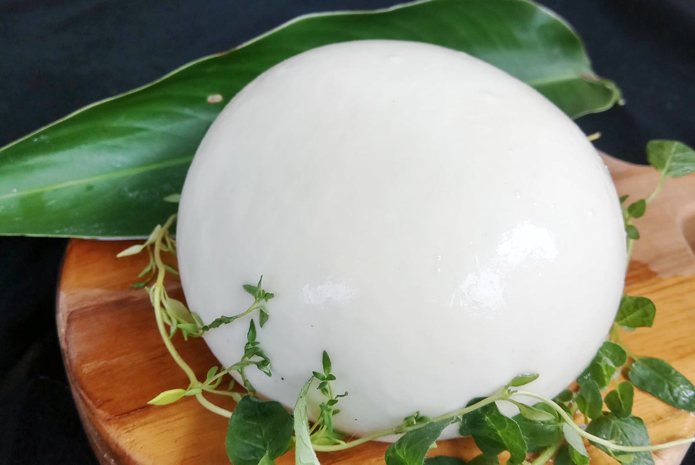 Artisanal cheese from Indonesia caters to growing demand, Food News