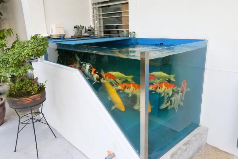 Tampines HDB residents keep koi fish in 'pond' built into multistep