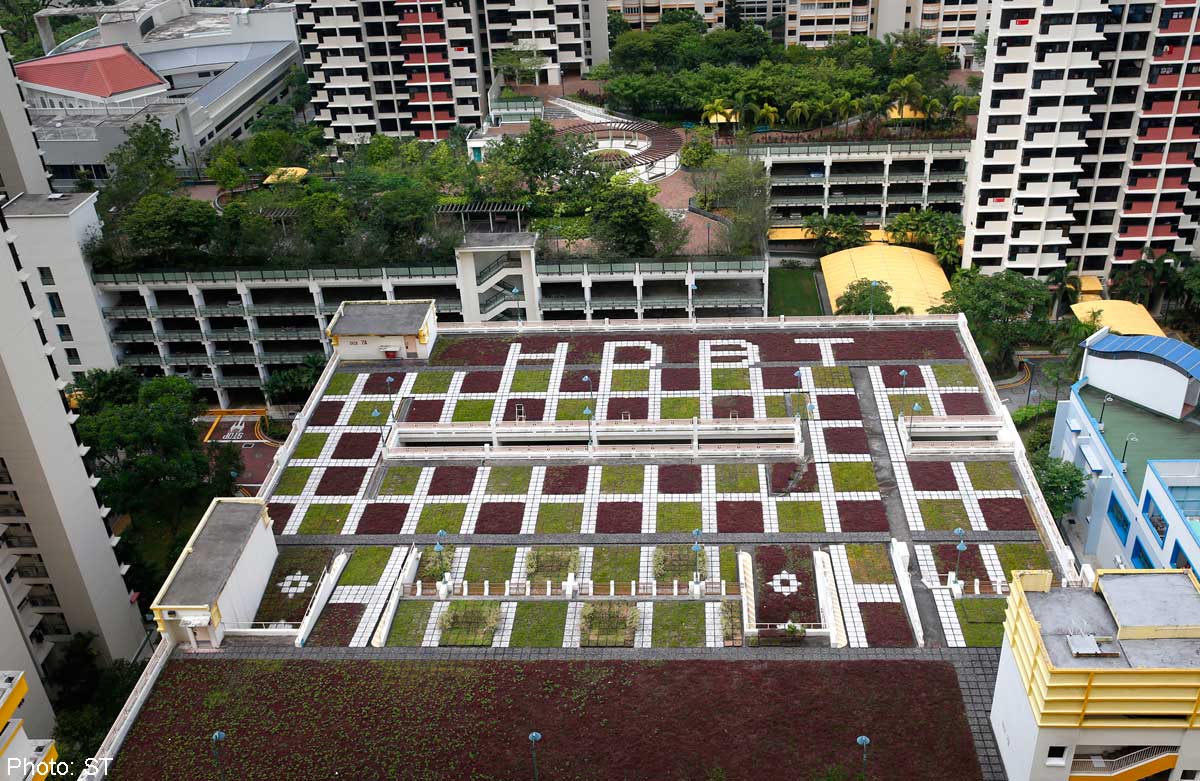 Rooftop greenery adds splash of colour to HDB estates, Singapore News