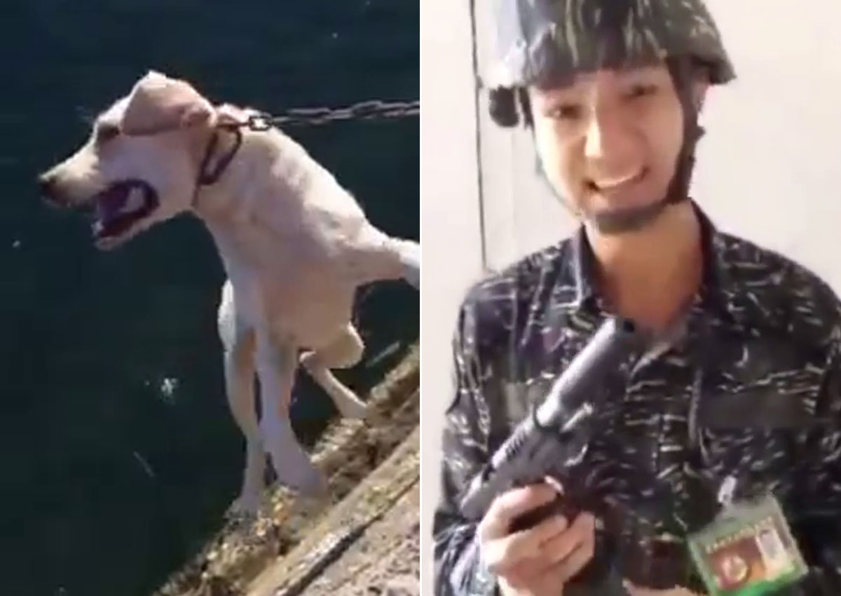 Taiwan soldiers torture and kill dog on base, Asia News AsiaOne