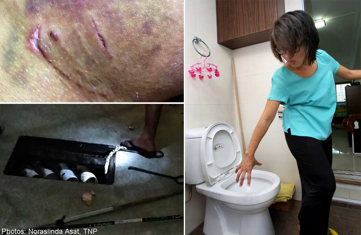 Toilet phobia after bitten by python in home , Singapore News AsiaOne