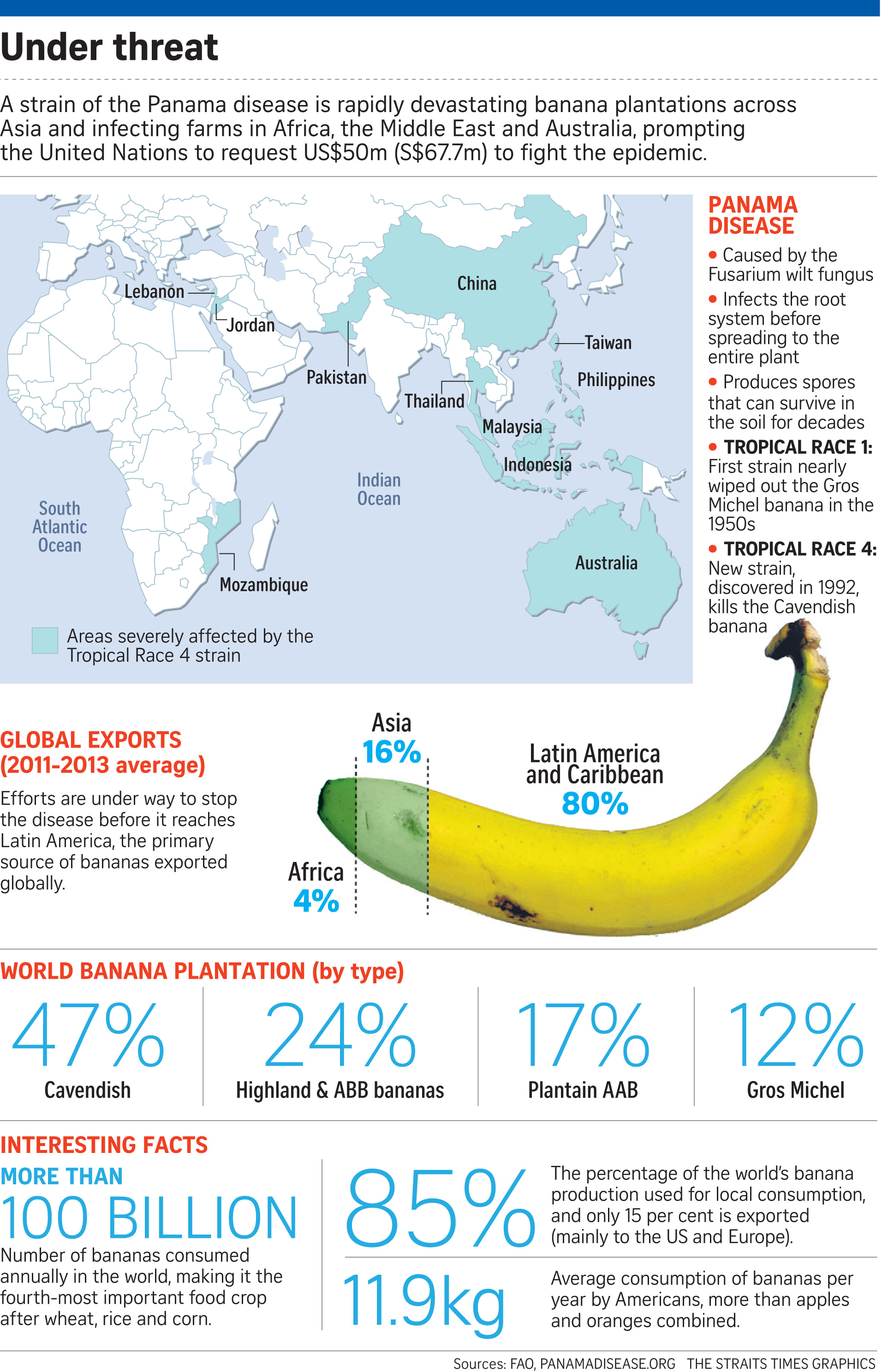 Banana supply in Singapore 'stable' despite fungus fears, Singapore