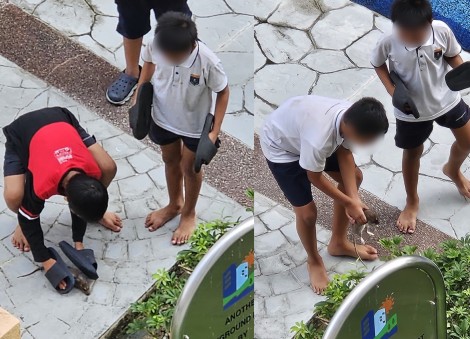 'Poor kids have no idea how dangerous it is': Children handling rat at Bedok playground spark safety concerns