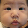 Foo Xinxi