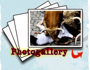 Link to Photogallery!