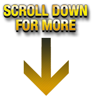 Scroll down for more!