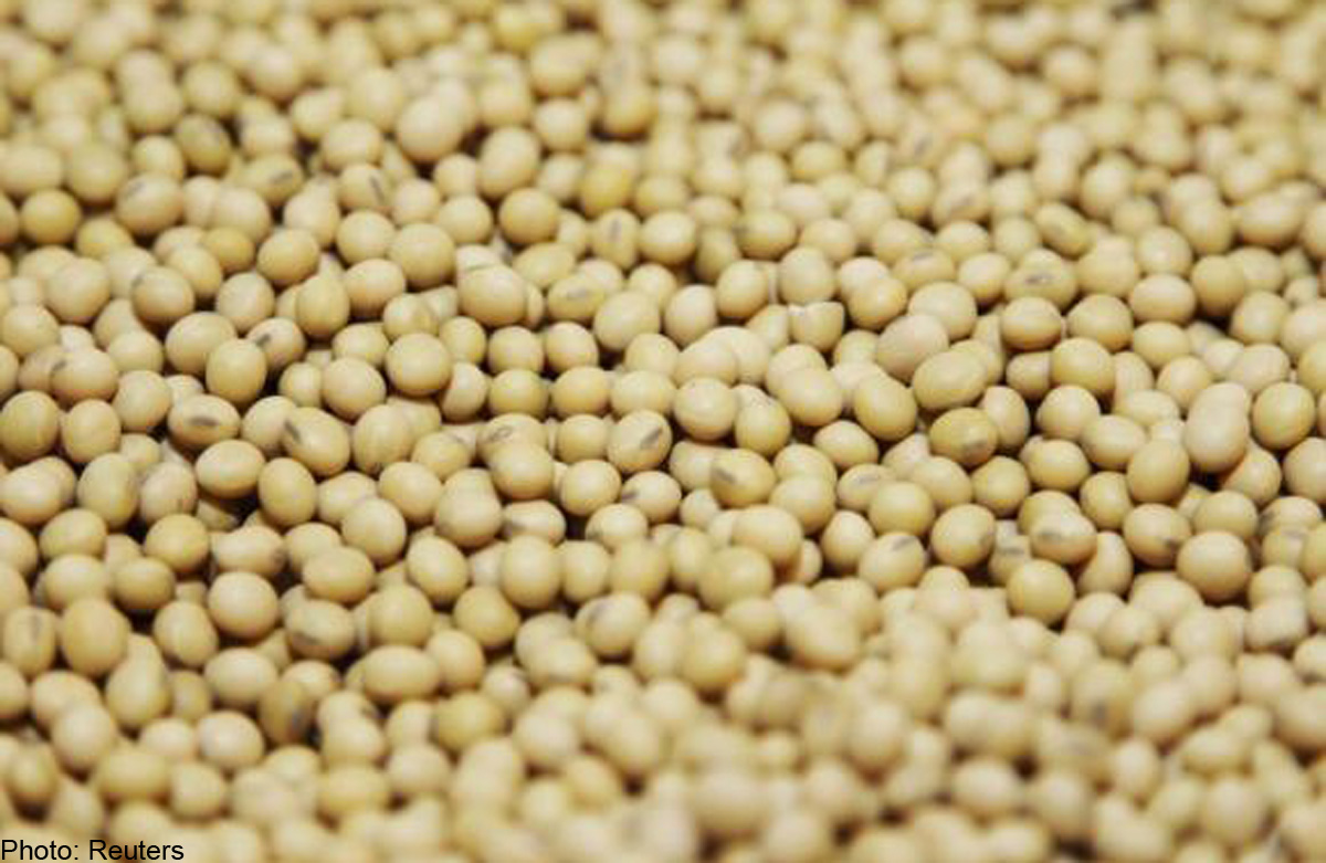 A highsoy diet may drive breast tumour growth Study, Health, Health