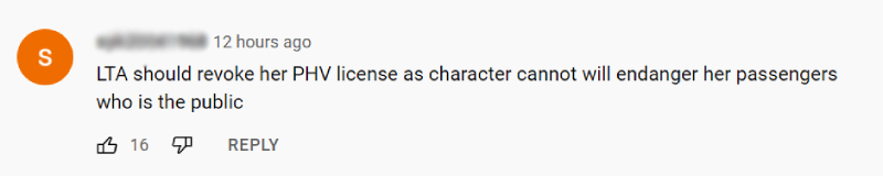 PHOTO: Screengrab from Youtube/SG Road Vigilante