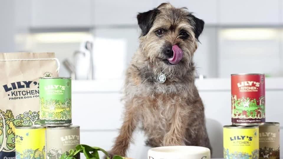Your canine is your finest good friend: Three methods to feed them nutritiously with out breaking the financial institution, Life-style Information