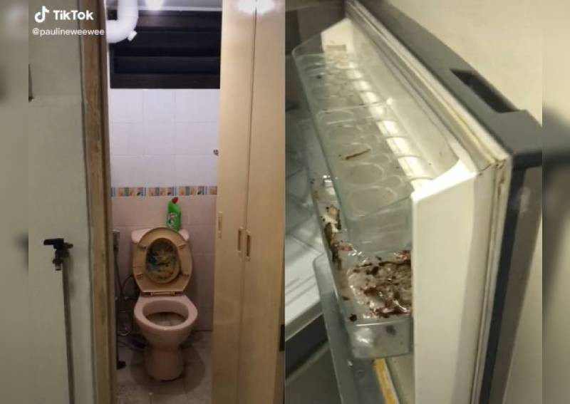 TikTok user Paulineweewee's nightmare of a flat after it was rented out for three years.