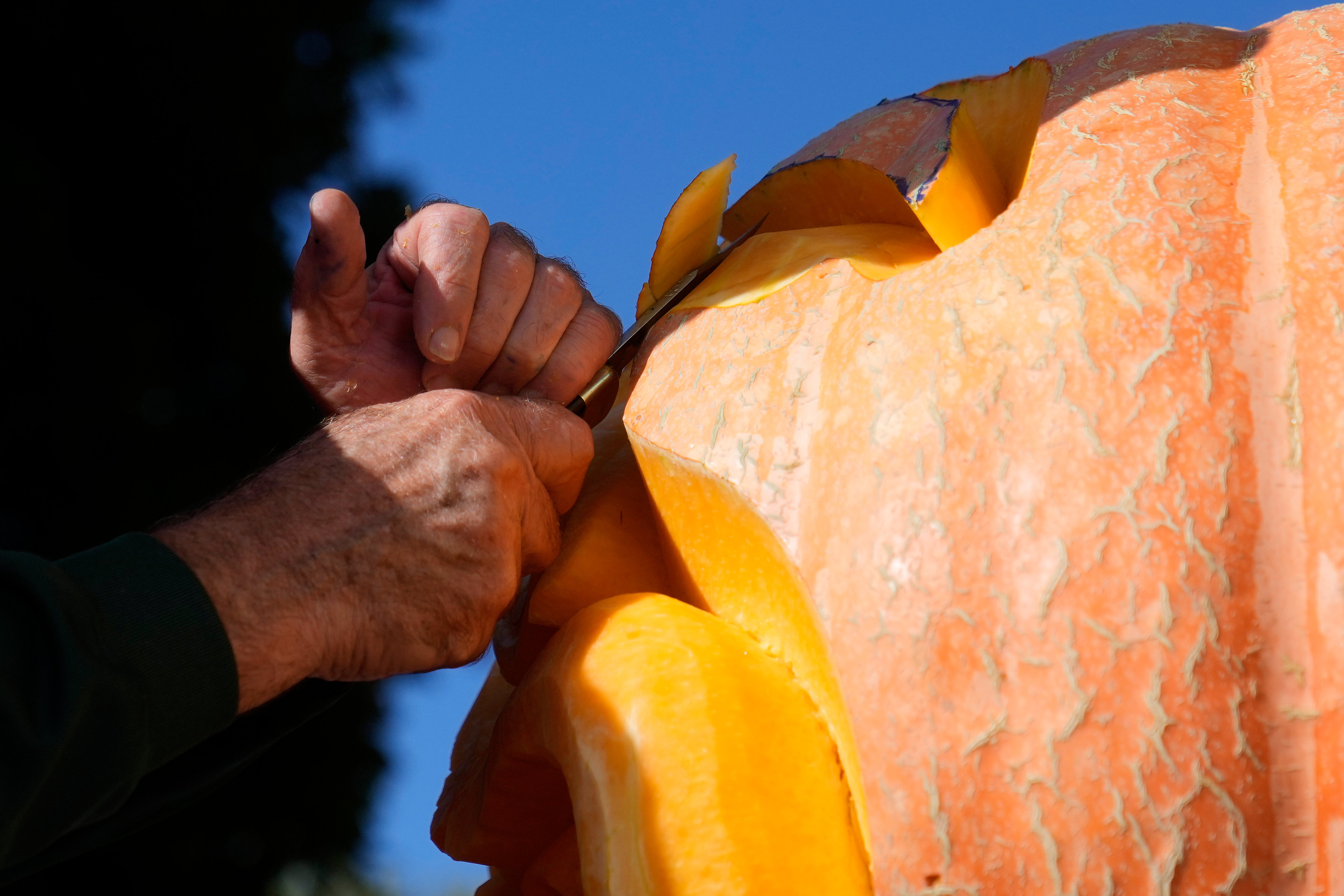 ‘Picasso of Pumpkin Carvers’ brings artistry to a Halloween tradition ‘Picasso of Pumpkin Carvers’ brings artistry to a Halloween tradition