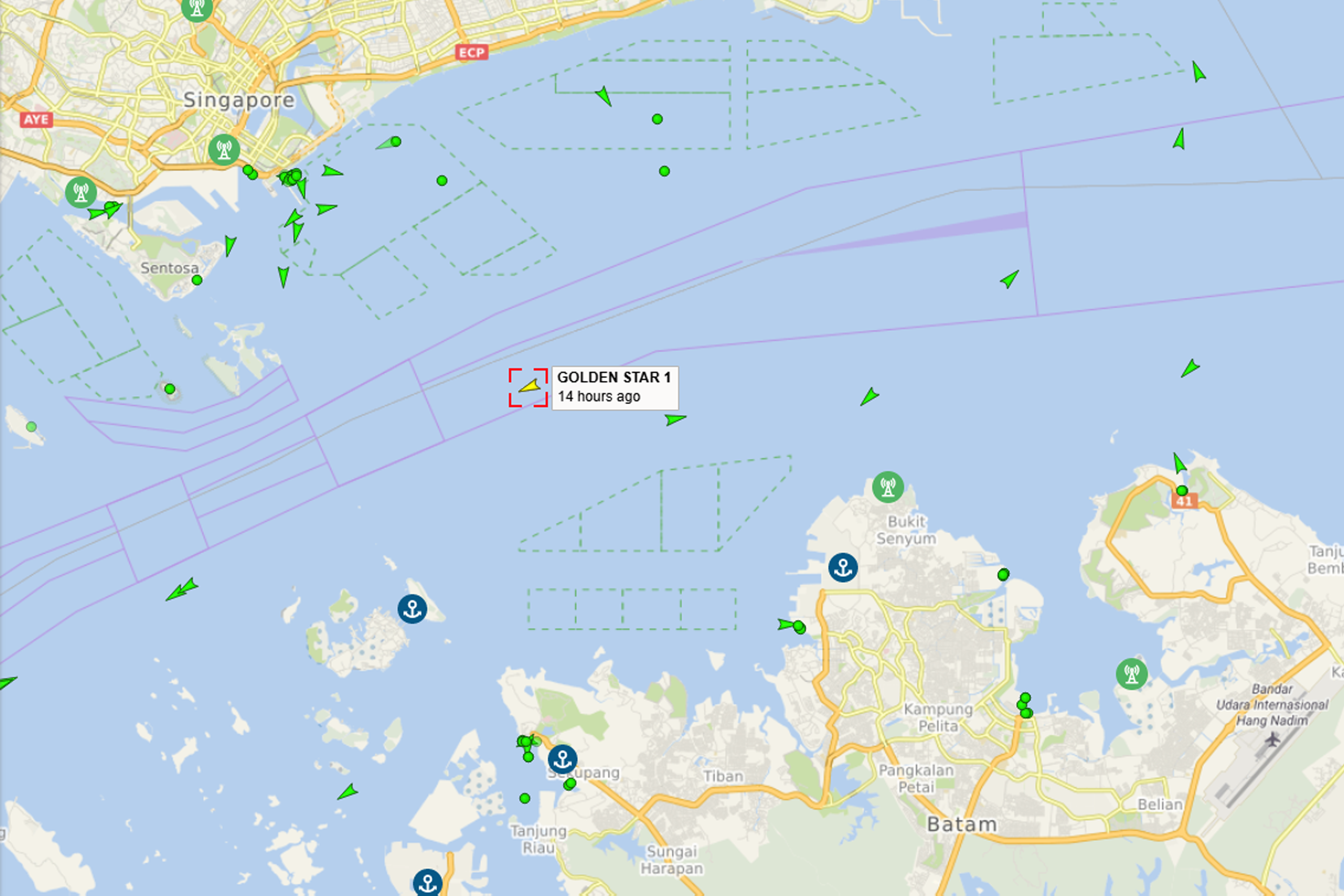 Based on Golden Star 1's maritime automatic identification system (AIS) was in sector 8 of the Singapore Strait. This is south of East Coast Park and north of Sekupang.