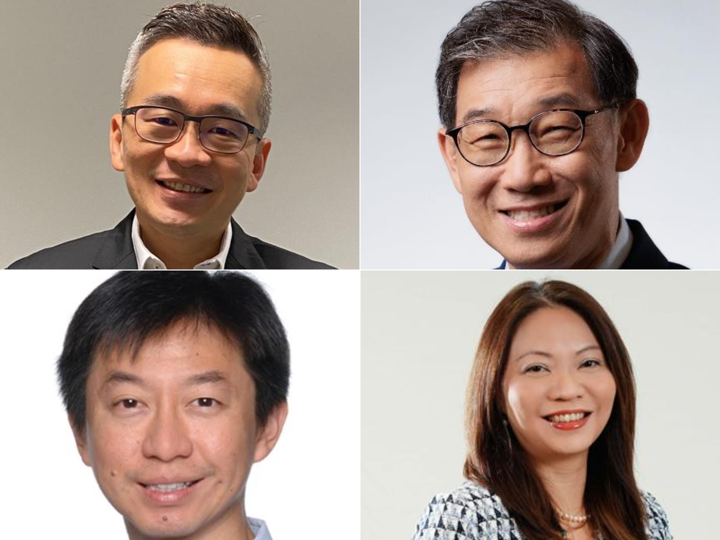 Newly-appointed LTA board members.