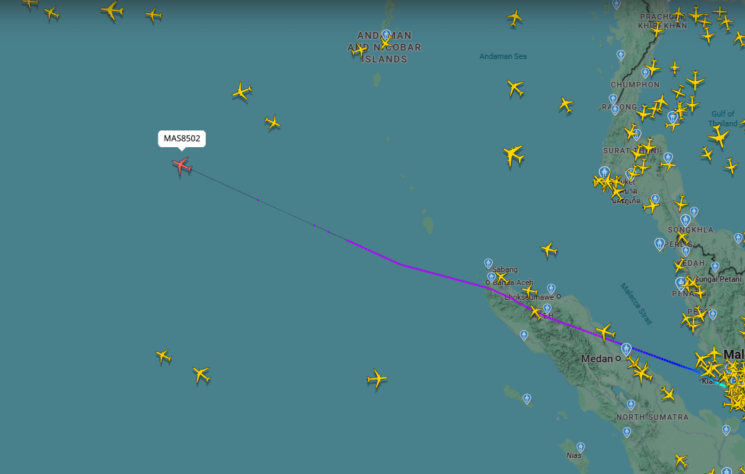 Malaysia Airlines flight MH8502 took off from Kuala Lumpur International Airport at about 4.10pm.