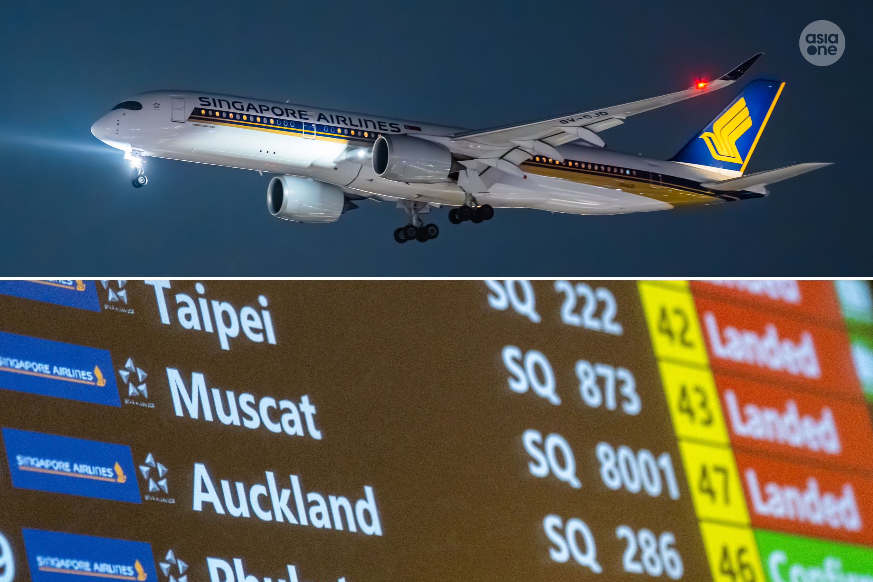 Flight SQ8001 approaching Changi Airport on Saturday (March 7) night (top). The flight information display system indicating SQ8001 as landed (bottom).