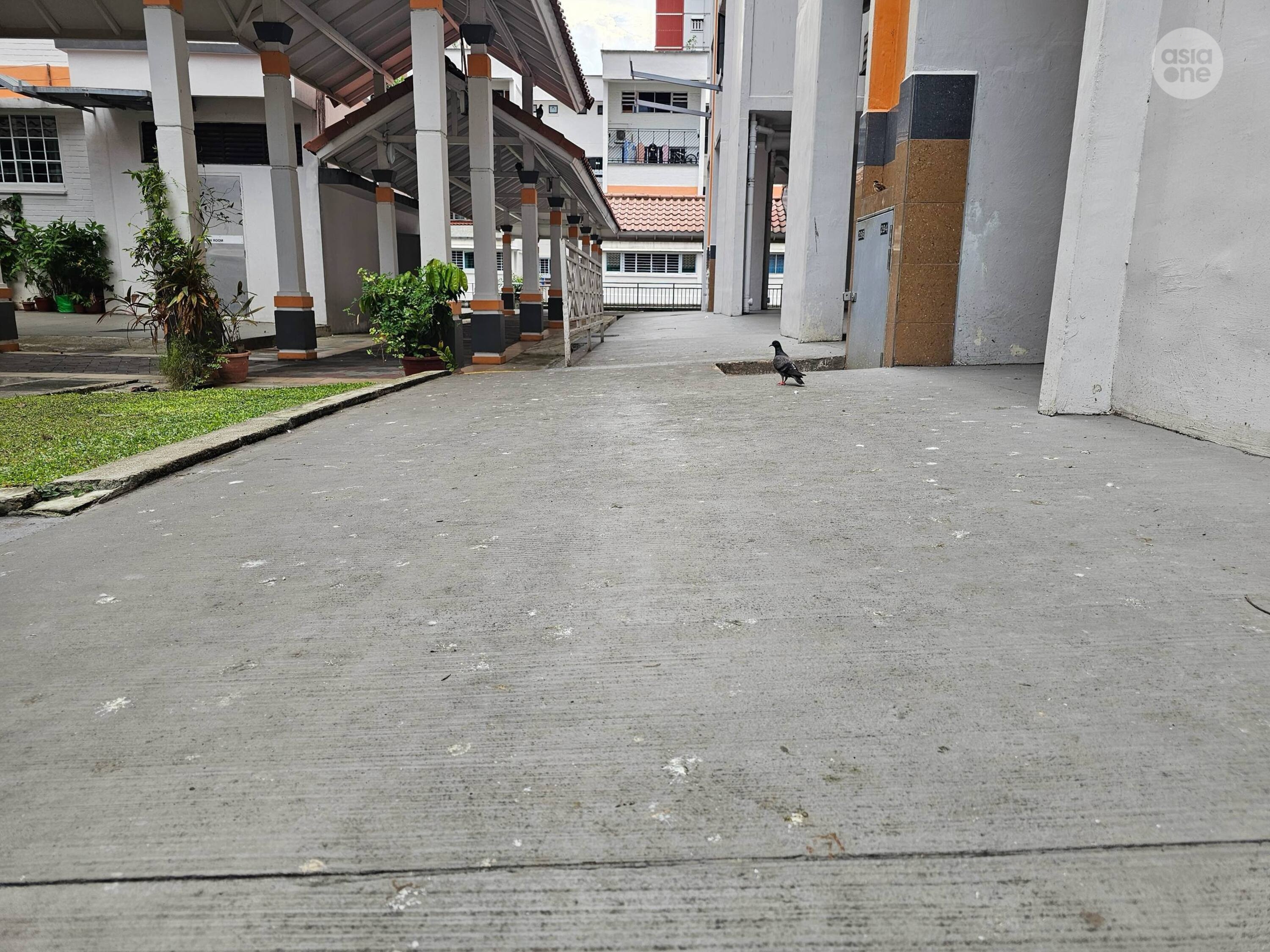 Pigeon droppings were seen at the ground floor walkway below the said unit. 