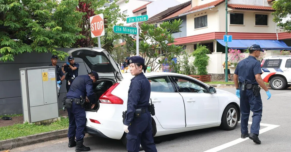 A photograph published by Chinese daily Lianhe Zaobao shows police officers, believed to be from the K9 unit, conducting a search of the woman's vehicle.