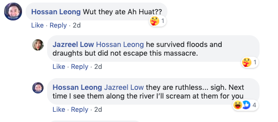 Former actress Jazreel Low 'heartbroken' after otters ate her arowana