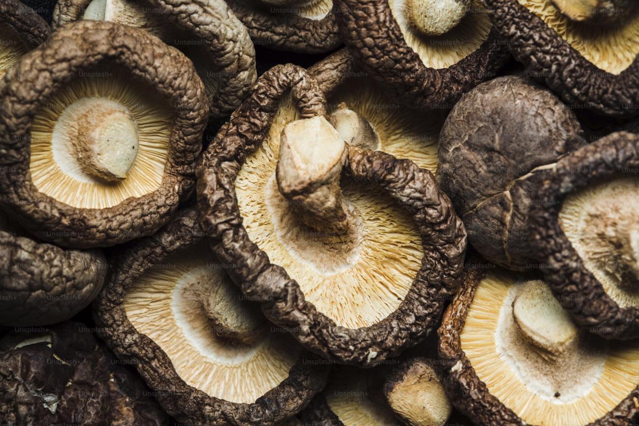 dried shiitake mushrooms