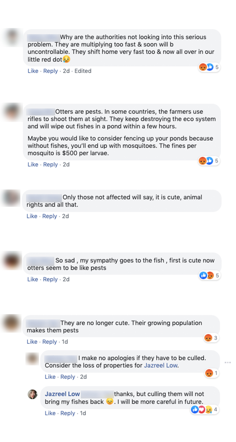 Former actress Jazreel Low 'heartbroken' after otters ate her arowana