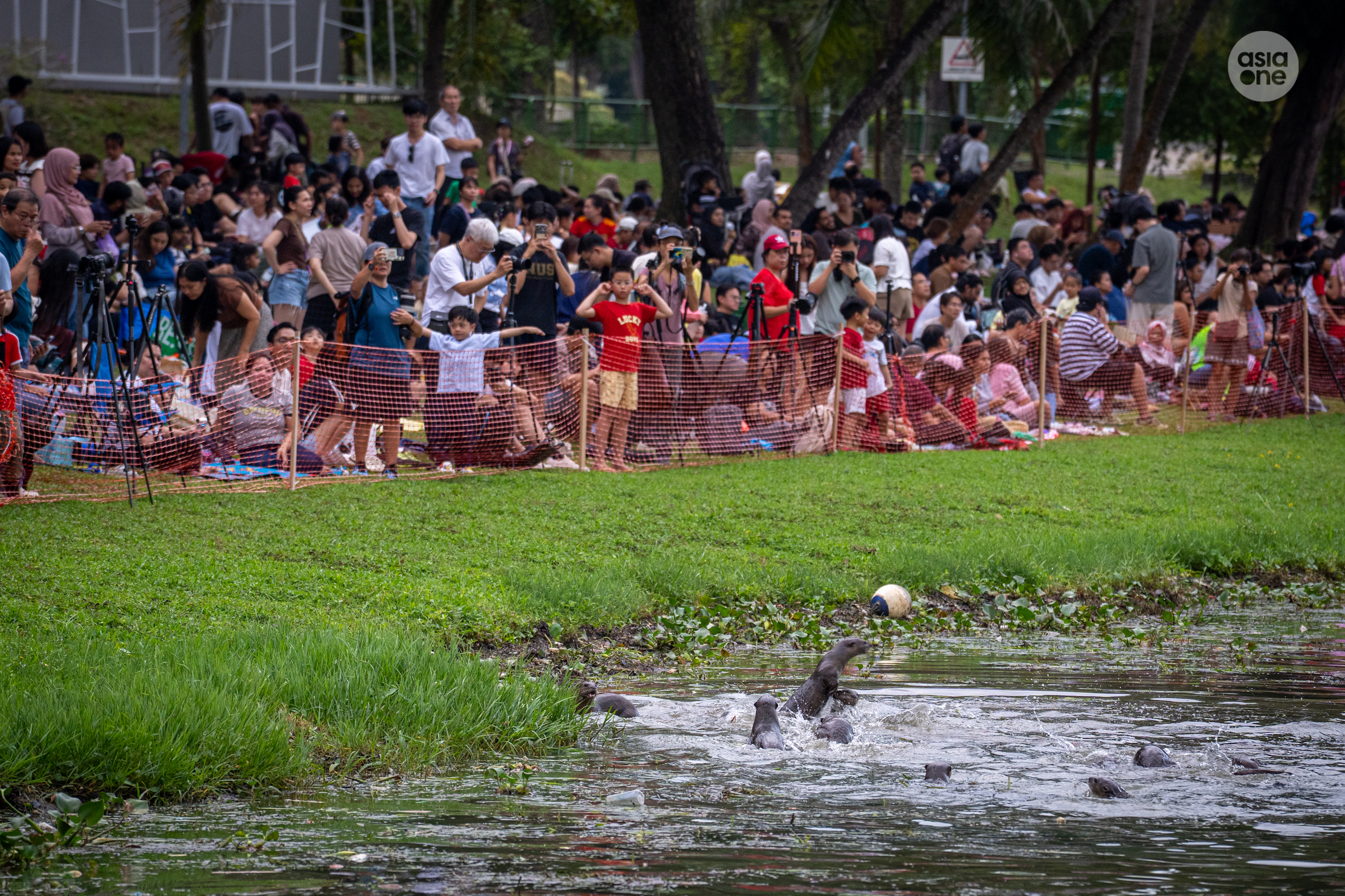 Otters joined members of public who had gathered by the banks of Kallang Basin to catch the PGS crew in action.