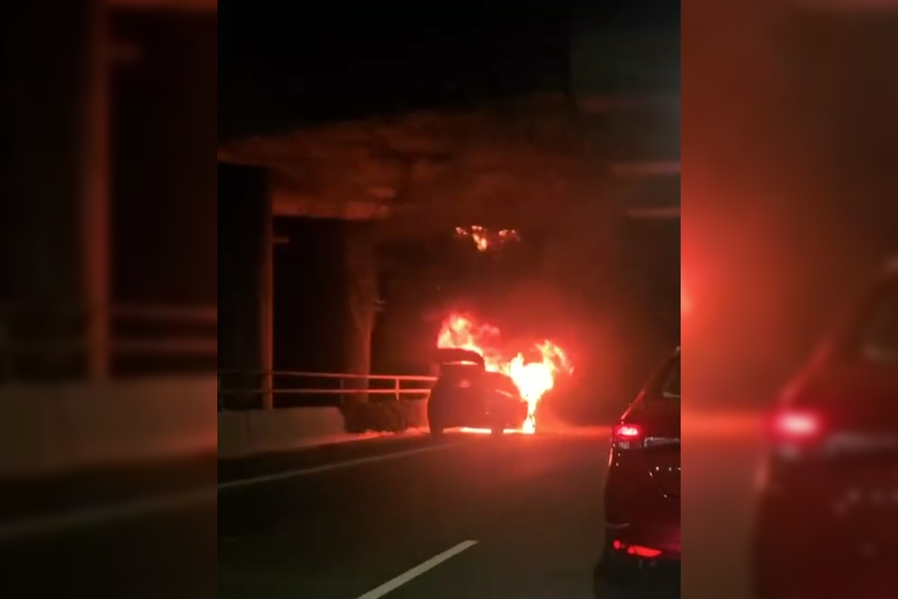 Creepers growing on the underside of the overhead viaduct caught fire.