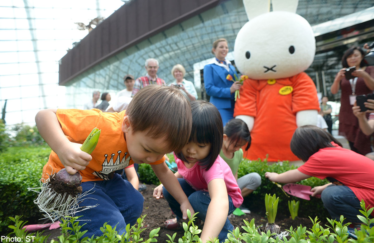 Tripping among the tulips, Singapore News AsiaOne