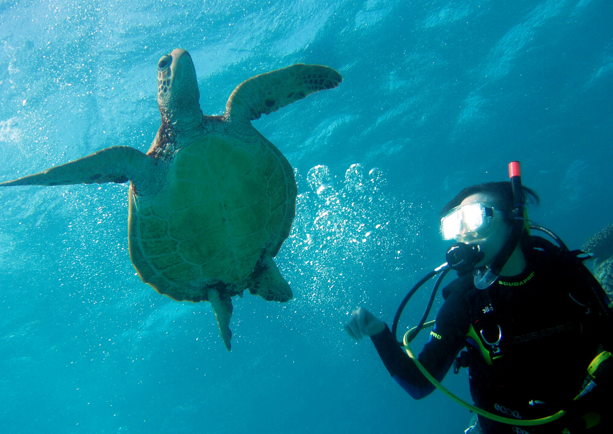 Four tourists go missing while diving in Indonesia, Asia News AsiaOne