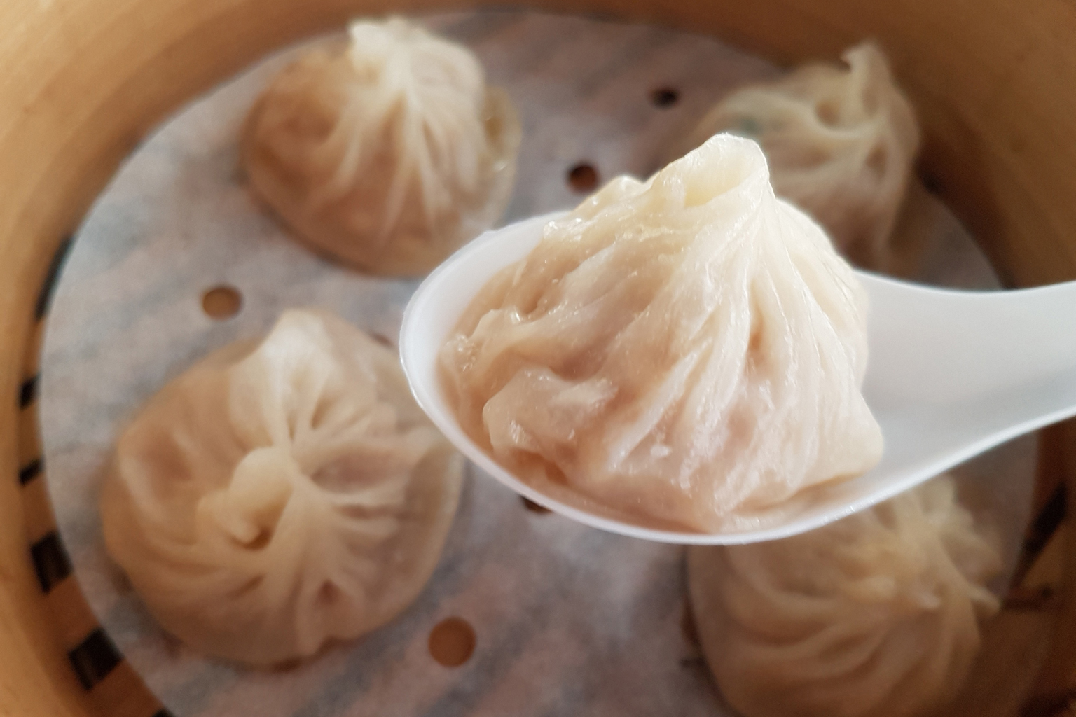 Unfolding the history of xiaolongbao, China's famous soup dumplings ...