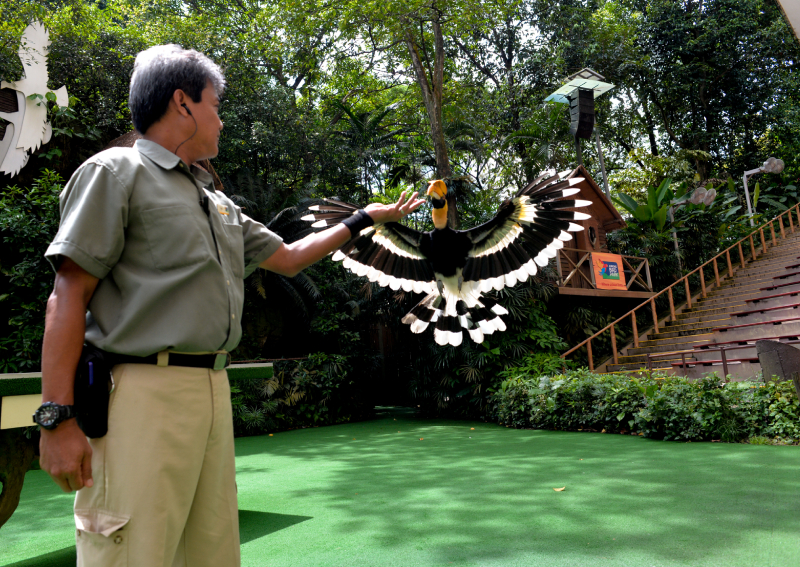 Jurong Bird Park celebrates 50th anniversary with $2.50 admission in January, Lifestyle, Singapore News - AsiaOne
