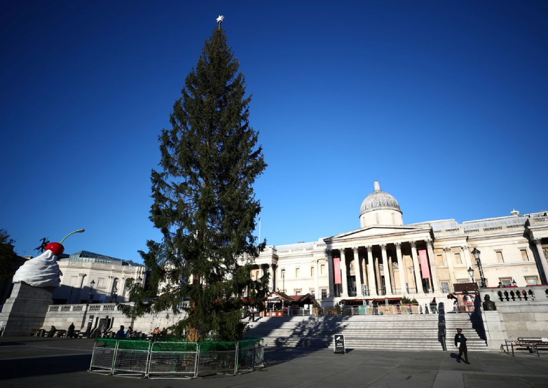 Norway's 'threadbare' Christmas tree gift underwhelms some in Britain ...