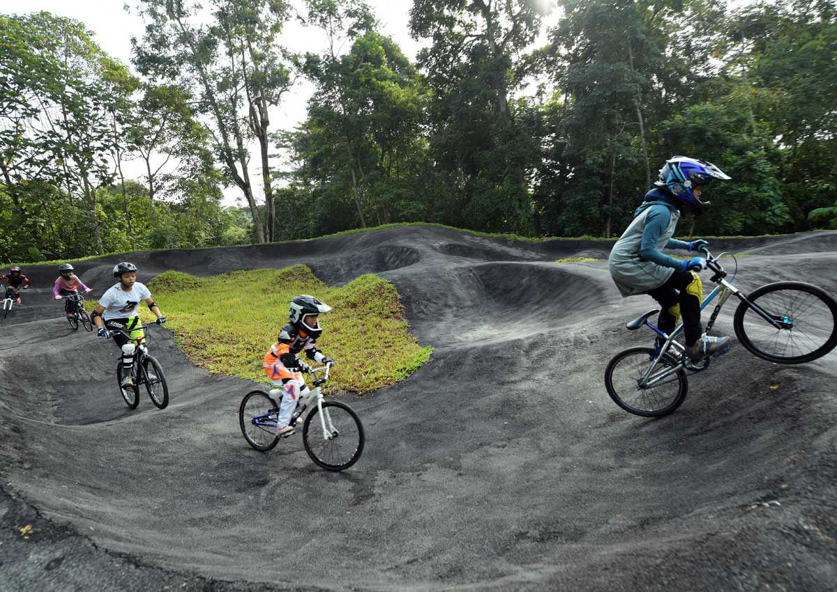 chestnut bike park