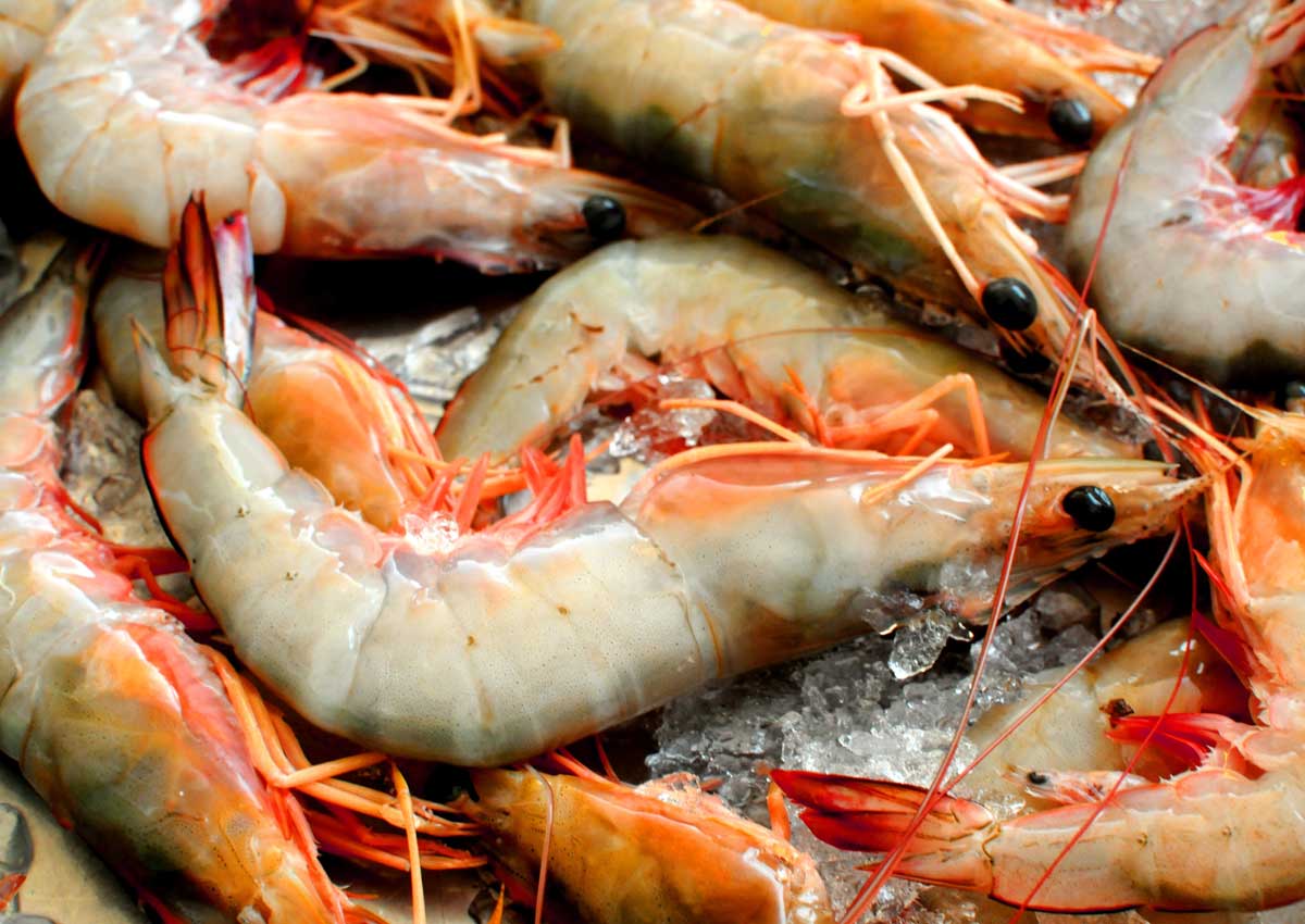 Woman's decision to eat prawns despite allergy turns out to be fatal