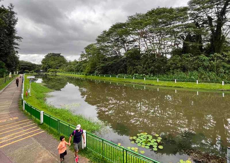 Gazetted car-lite areas in Singapore: Springleaf, Lifestyle News - AsiaOne