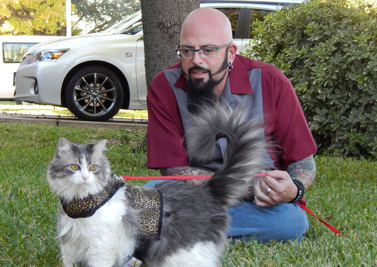 Don't call me a 'cat whisperer', says TV star, Entertainment News AsiaOne