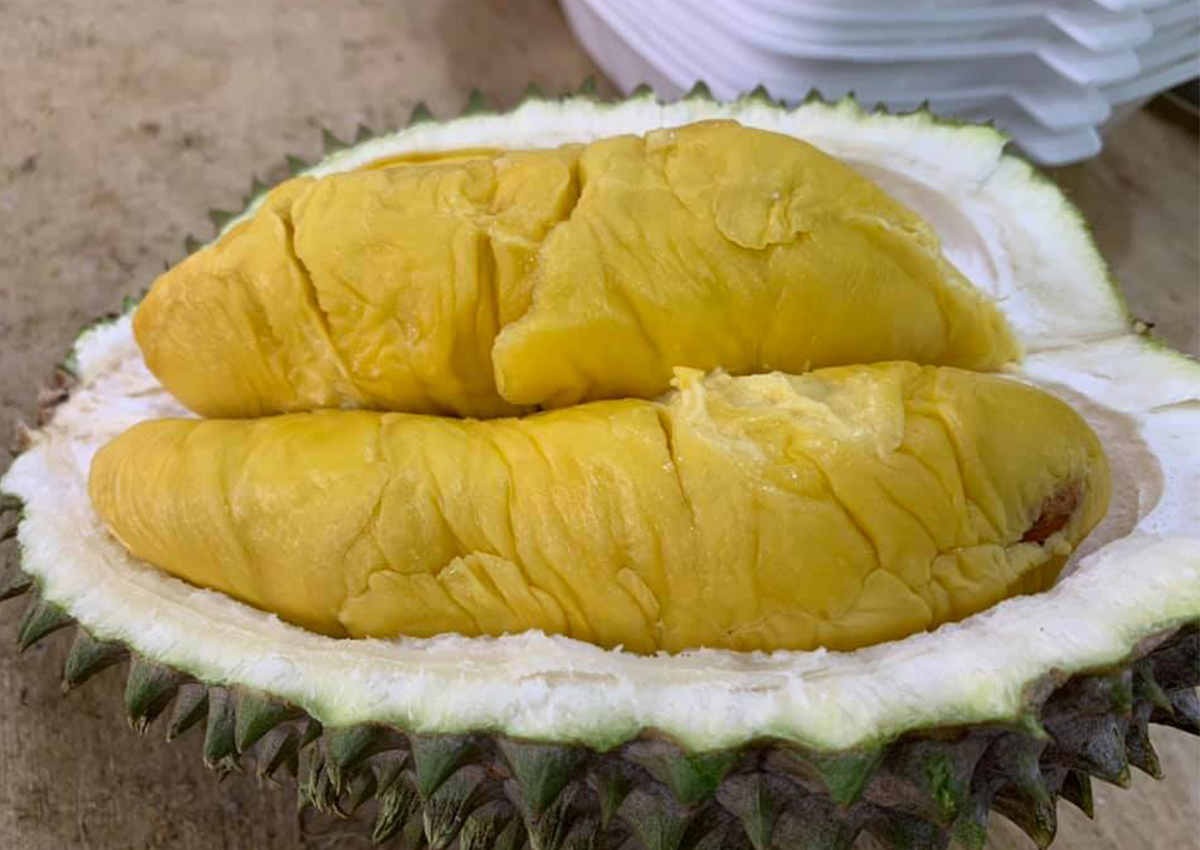 11.88 Mao Shan Wang and other durians available on Qoo10 for a limited