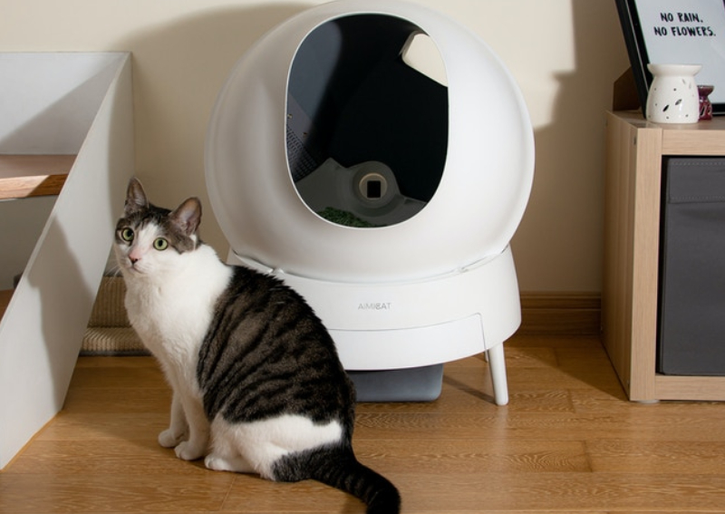 A smart, sleek kitty litter box that cleans itself, Lifestyle News