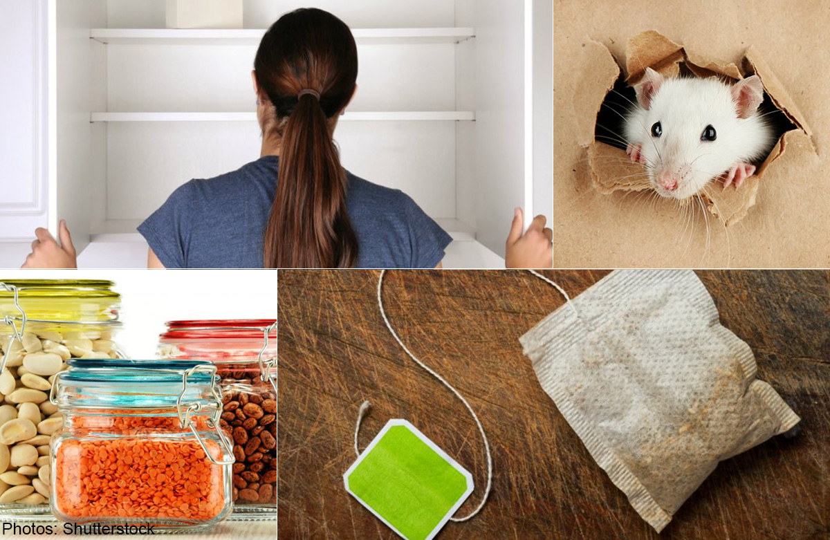 Keep your pantry pestfree with these 9 steps, Food News AsiaOne