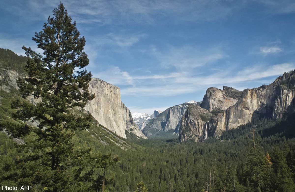 Ban seen as possible factor in famous BASE jumper's death, World News