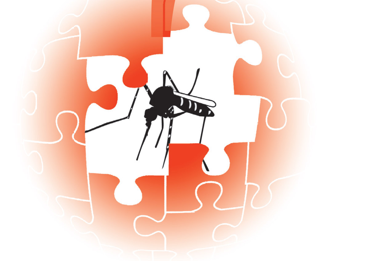 More than 2,000 dengue cases in Singapore in first quarter; about 600