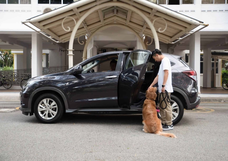 Big dogs allowed! Grab expands suite of premium transport offerings