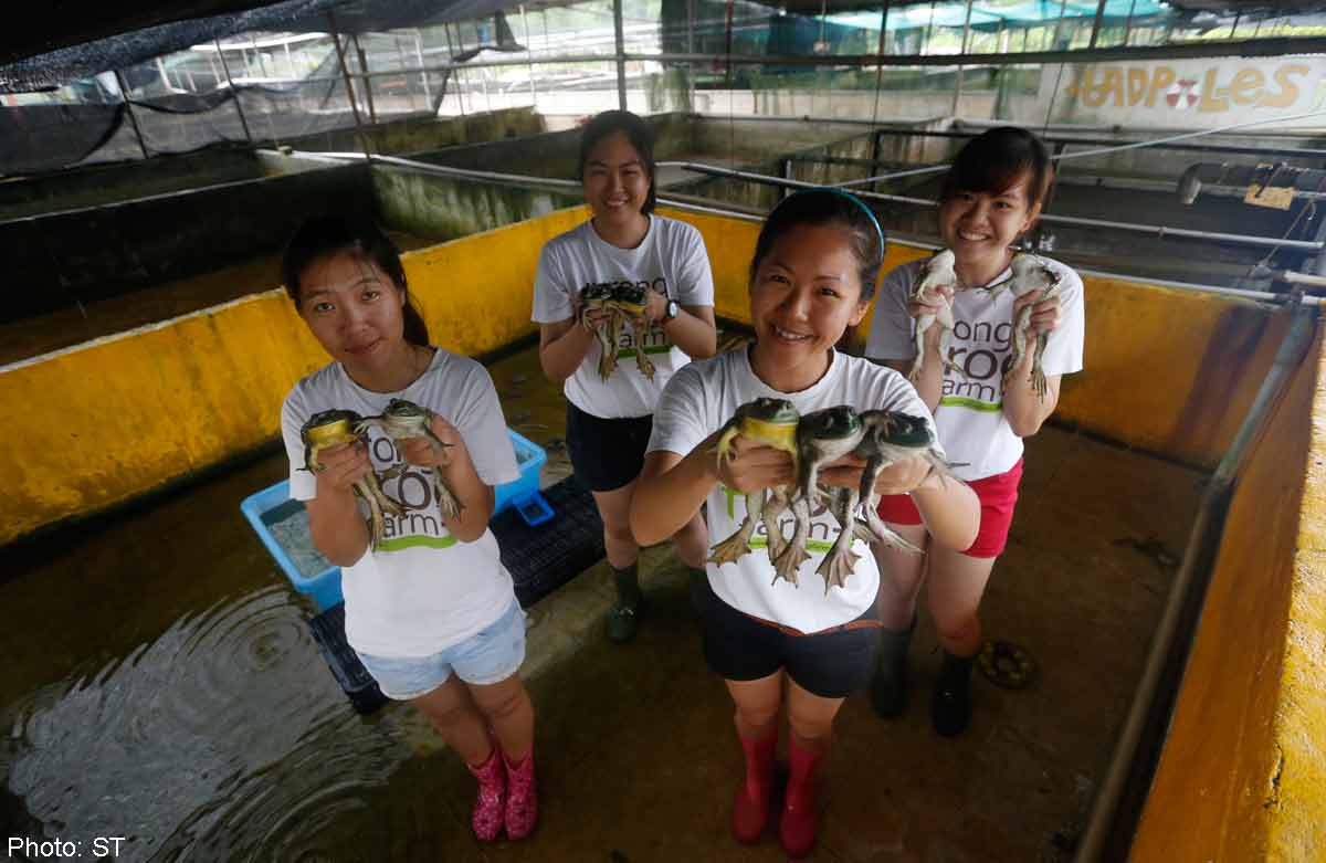 Farmers in limbo as land leases run out, Singapore News AsiaOne