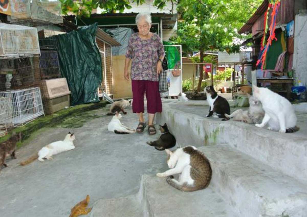 cat beach sanctuary