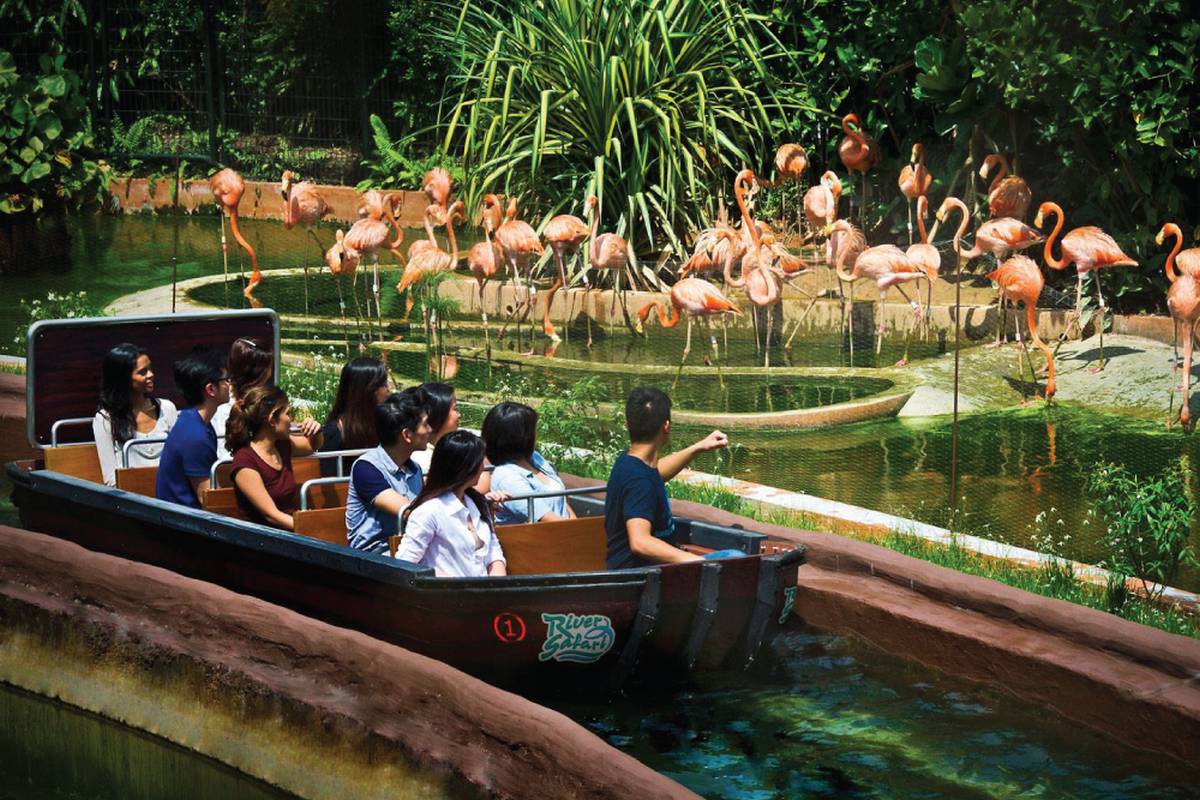 Animal lovers, here are the top 10 places in Singapore to visit, Singapore  News - AsiaOne