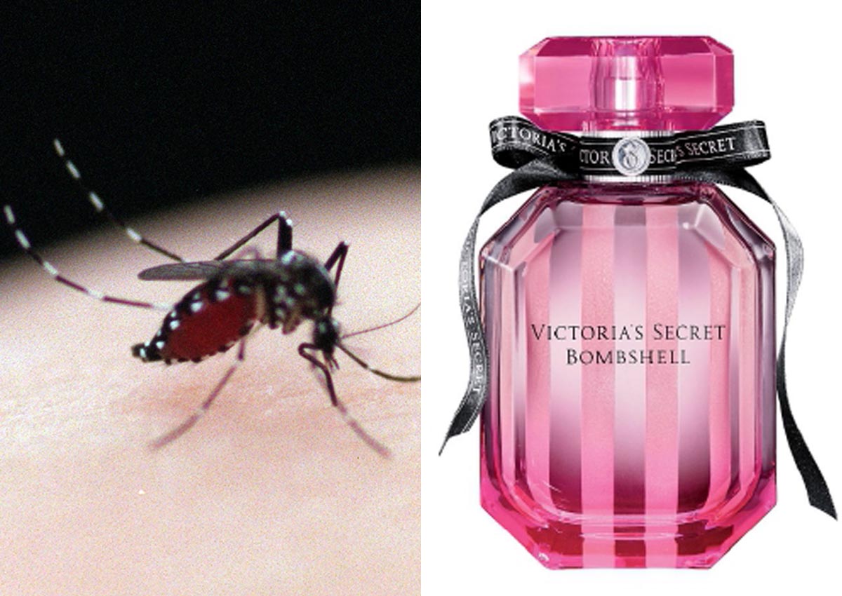 Victoria Secret Bombshell Bug Repellent 2024