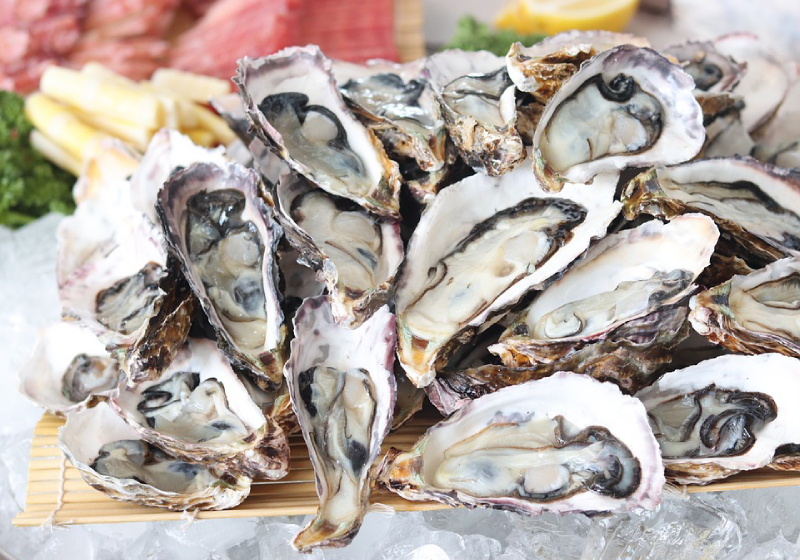 9 best restaurants to get fresh & cheap oysters under $2++ a pop
