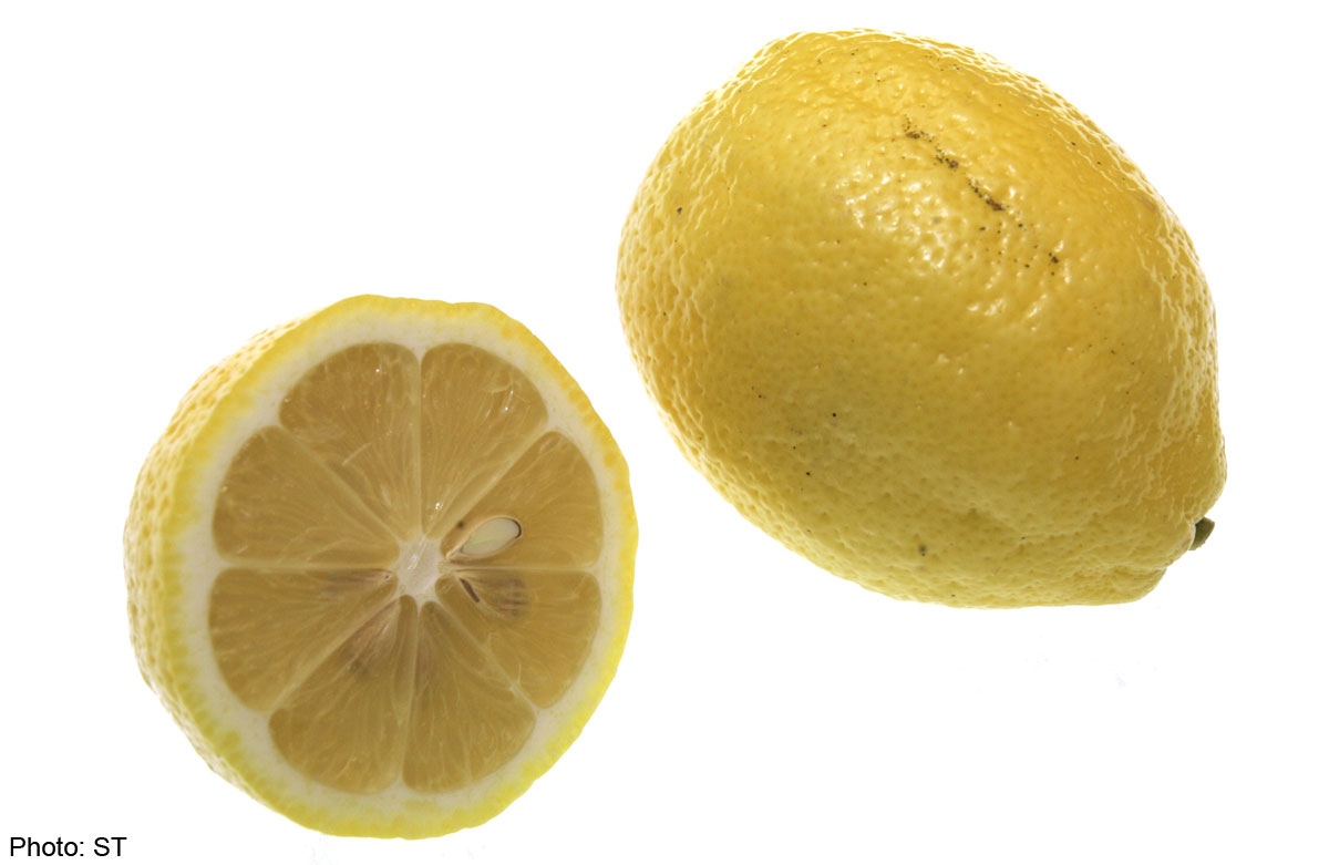 Super lemon, Food News - AsiaOne