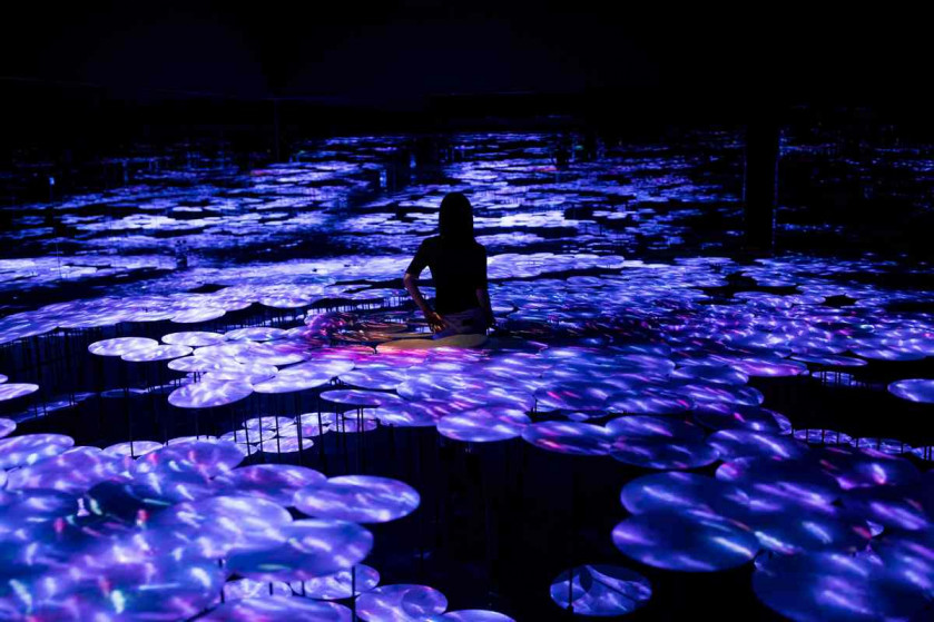 Tokyo digital art museum looks to 'expand the beautiful', Asia News
